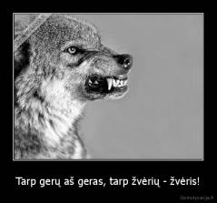 Tarp gerų aš geras, tarp žvėrių - žvėris! - 