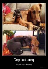 Tarp nuotraukų - vienerių metų skirtumas