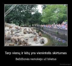 Tarp vienų ir kitų yra vienintelis skirtumas - Beždžionės nemokėjo už bilietus