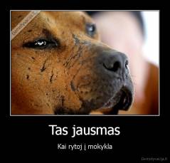 Tas jausmas - Kai rytoj į mokykla