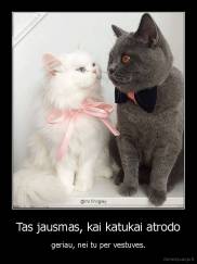 Tas jausmas, kai katukai atrodo - geriau, nei tu per vestuves.