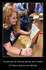 Tas jausmas, kai mokytoja galvoja, kad tu skaitai - O iš tiesų tu žaidi su savo viščiukais
