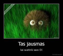 Tas jausmas - kai susitinki savo EX