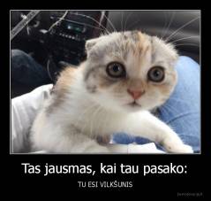 Tas jausmas, kai tau pasako: - TU ESI VILKŠUNIS