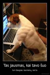 Tas jausmas, kai tavo šuo - turi daugiau raumenų, nei tu