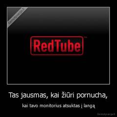 Tas jausmas, kai žiūri pornucha, - kai tavo monitorius atsuktas į langą