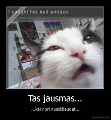 Tas jausmas... - ...kai nori nusidžiaudėt...