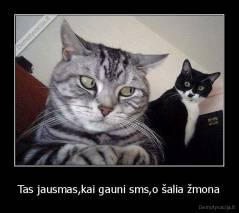 Tas jausmas,kai gauni sms,o šalia žmona - 