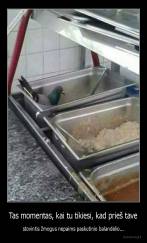 Tas momentas, kai tu tikiesi, kad prieš tave - stovintis žmogus nepaims paskutinio balandėlio...