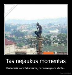 Tas nejaukus momentas - Kai tu lieki vienintelis kaime, dar nesergantis ebola...