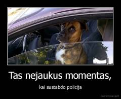 Tas nejaukus momentas, - kai sustabdo policija