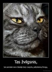 Tas žvilgsnis, - kai pamatai savo klasėje tarp naujokų pažystamą žmogų.