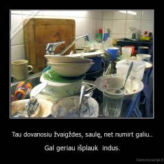 Tau dovanosiu žvaigždes, saulę, net numirt galiu.. - Gal geriau išplauk  indus.