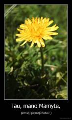 Tau, mano Mamyte, -  pirmieji pirmieji žiedai :)