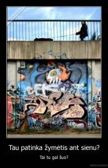 Tau patinka žymėtis ant sienu? - Tai tu gal šuo?