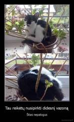Tau reikėtų nusipirkti didesnį vazoną - Šitas nepatogus