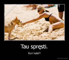 Tau spręsti. - Kuri kalė?!