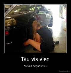 Tau vis vien - Niekas nepatikės...