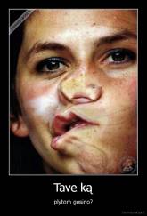 Tave ką - plytom gesino?