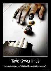 Tavo Gyvenimas - sudegs anksčiau, nei "šita jau tikrai paskutinė cigaretė".