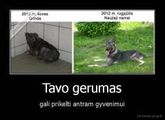 Tavo gerumas - gali prikelti antram gyvenimui