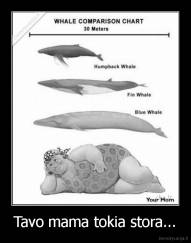 Tavo mama tokia stora... - 