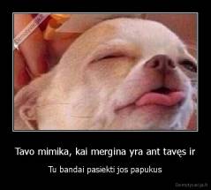 Tavo mimika, kai mergina yra ant tavęs ir - Tu bandai pasiekti jos papukus