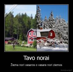 Tavo norai - Žiema nori vasaros o vasara nori ziemos