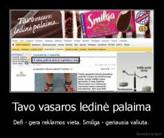 Tavo vasaros ledinė palaima - Defi - gera reklamos vieta. Smilga - geriausia valiuta. 