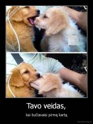 Tavo veidas, - kai bučiavaisi pirmą kartą