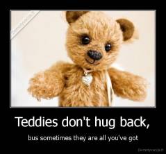Teddies don't hug back, - bus sometimes they are all you've got