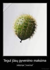 Tegul jūsų gyvenimo maksima - netampa "maxima"