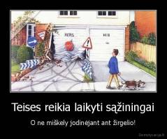 Teises reikia laikyti sąžiningai - O ne miškely jodinėjant ant žirgelio!