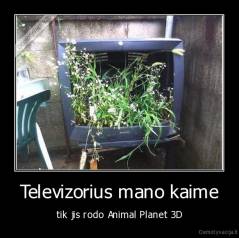 Televizorius mano kaime - tik jis rodo Animal Planet 3D