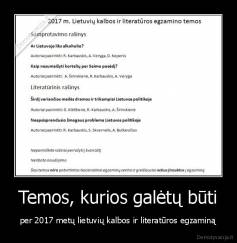 Temos, kurios galėtų būti - per 2017 metų lietuvių kalbos ir literatūros egzaminą