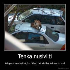 Tenka nusivilti - kai gauni ne visai tai, ko tikiesi, bet vis tiek imi nes to nori