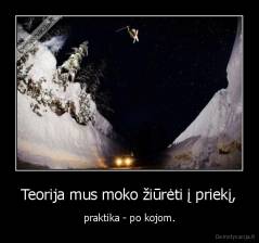 Teorija mus moko žiūrėti į priekį, - praktika - po kojom.