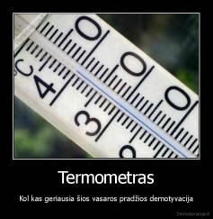 Termometras - Kol kas geriausia šios vasaros pradžios demotyvacija