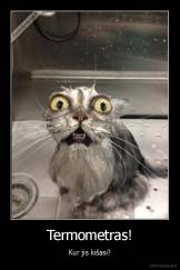 Termometras! - Kur jis kišasi?