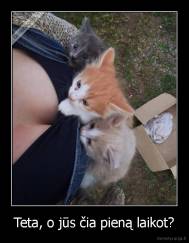 Teta, o jūs čia pieną laikot? - 