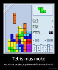 Tetris mus moko - Kad klaidos kaupiasi, o pasiekimai akimirksniu išnyksta.