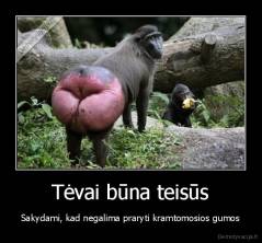 Tėvai būna teisūs - Sakydami, kad negalima praryti kramtomosios gumos