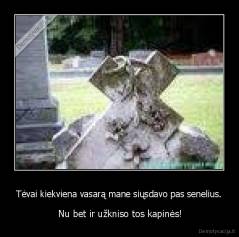 Tėvai kiekviena vasarą mane siųsdavo pas senelius. -  Nu bet ir užkniso tos kapinės!
