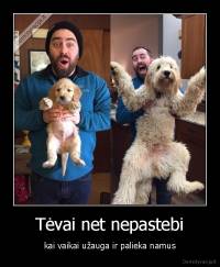 Tėvai net nepastebi - kai vaikai užauga ir palieka namus