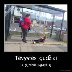 Tėvystės įgūdžiai - Jei jų neturi, įsigyk šunį