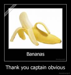 Thank you captain obvious - 