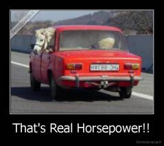 That's Real Horsepower!! - 