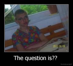The question is??  - 