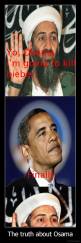The truth about Osama - 
