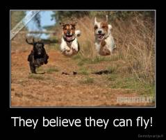They believe they can fly! - 